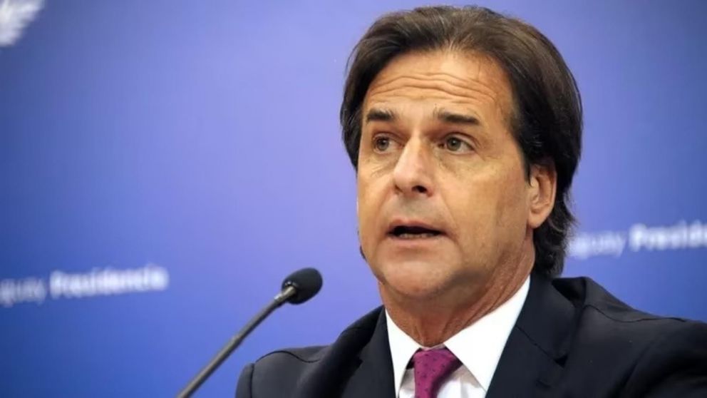 Luis Lacalle Pou le respondió a Alberto Fernández: "Es leer en Internet y se entera enseguida si quiere tener la información correcta"