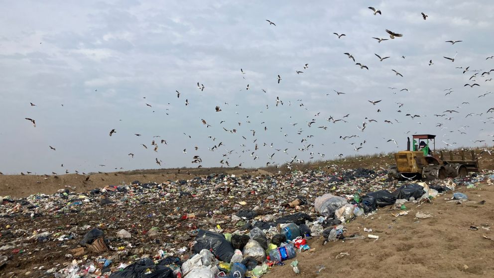 El predio está ubicado en el pueblo de Pavón
