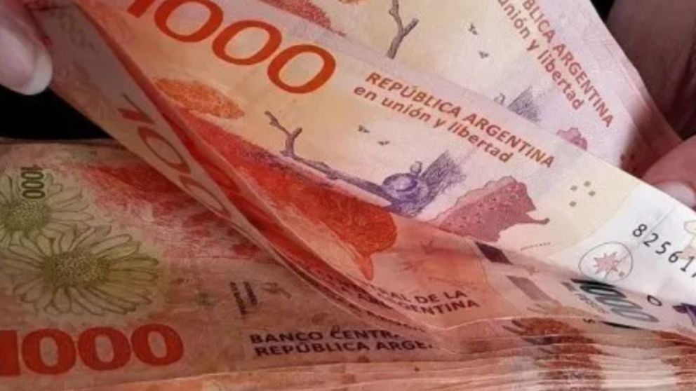 Bono Potenciar Trabajo junio 2023