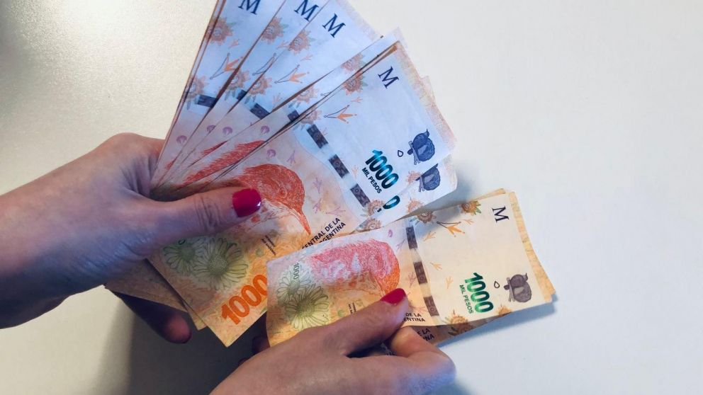 Pr�stamos en Anses: c�mo tramitarlos