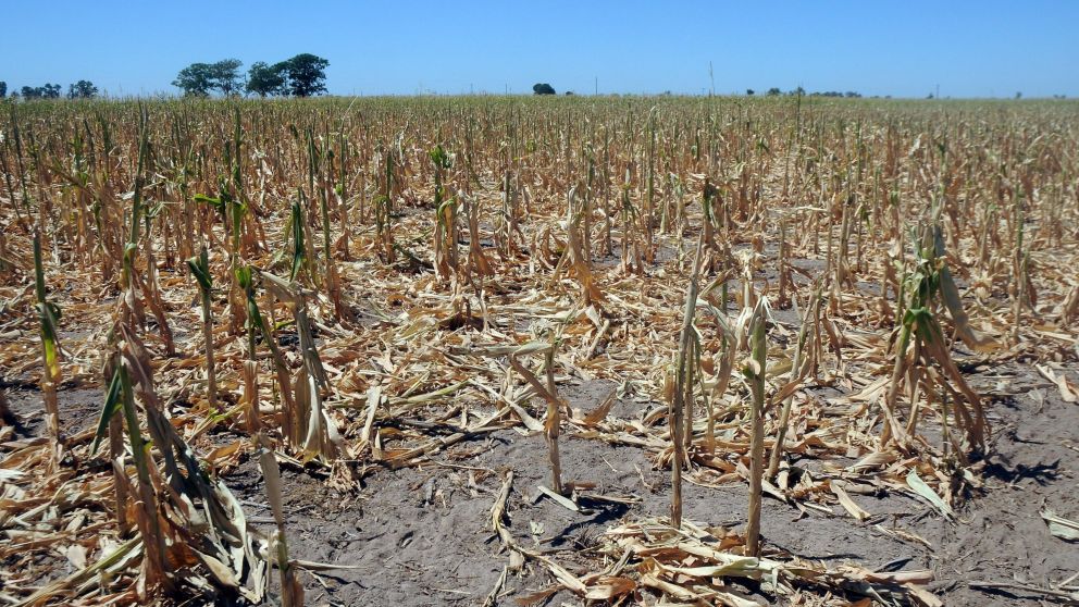 El impacto de la sequía en el agro hizo caer la economía 4,2% en abril