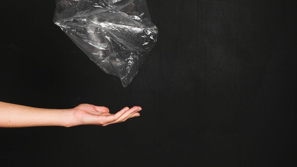 D�a Mundial libre de bolsas de pl�stico: peque�os grandes actos