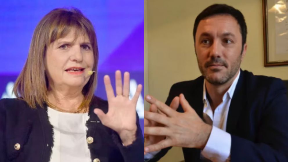 Bullrich confirm� con un video que Petri ser� su compa�ero de f�rmula rumbo a las PASO