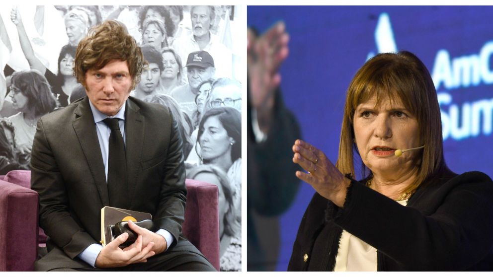 Patricia Bullrich confirmó que quiere aliarse con Javier Milei si gana las elecciones