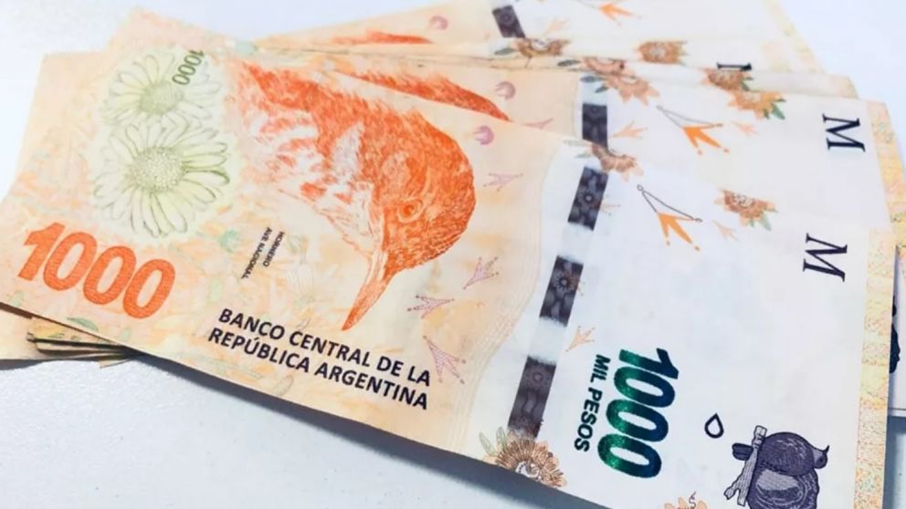 Mujeres de 18 a 65 años pueden recibir una ayuda económica eb casi de cumpir con algunos requisitos