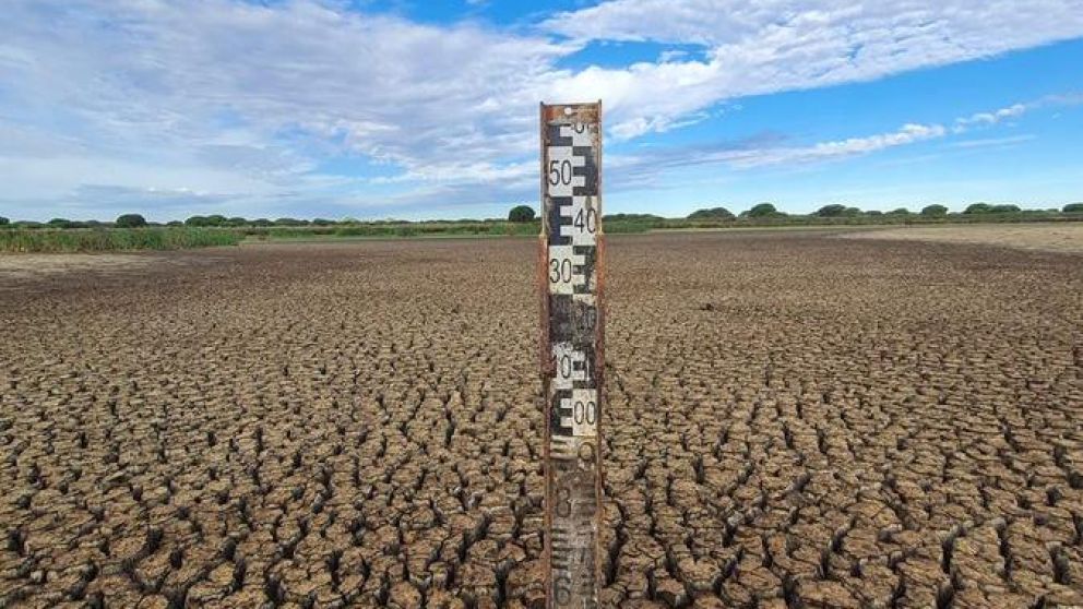 Campact denuncia el bombeo ilegal del agua del Parque Nacional de Doñana, el mayor humedal de España