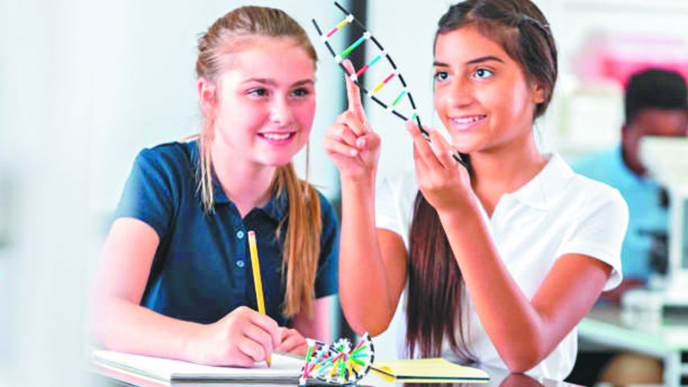 El indicador global se redujo un 34% en Argentina