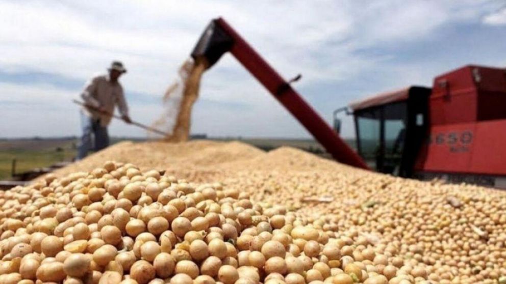 Con récord de liquidaciones, el dólar agro alcanzó los USD5.086 millones