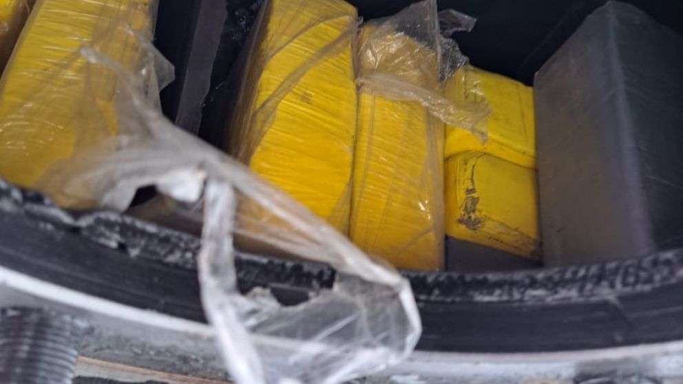 Utilizan escáners y canes entrenados para detectar el ingreso ilegal