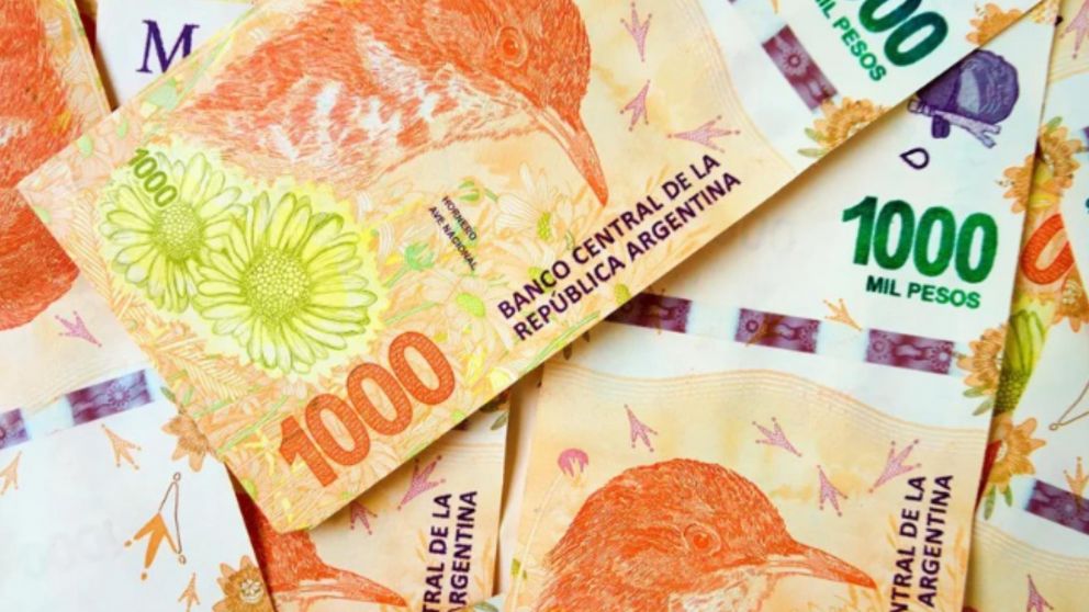 Préstamos de Anses para madres