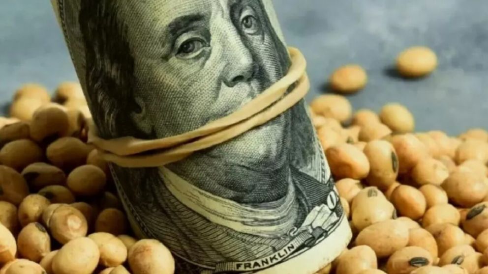 Dólar agro