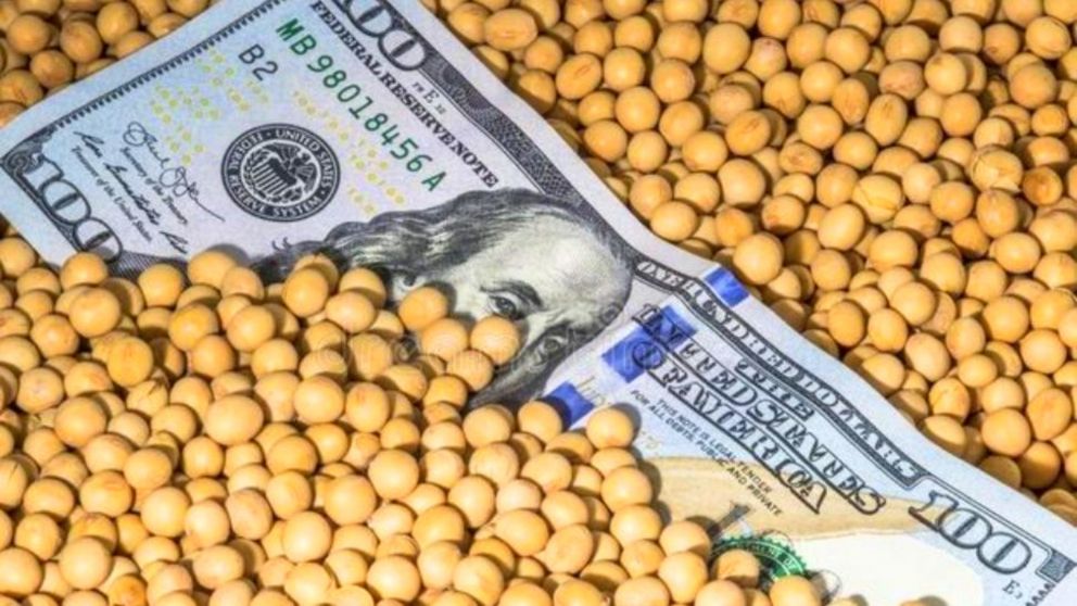 El desplome del precio de la soja le costar� al pa�s USD1.300 millones