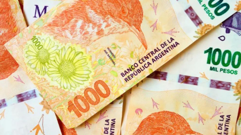Fecha y lugar de cobro Anses