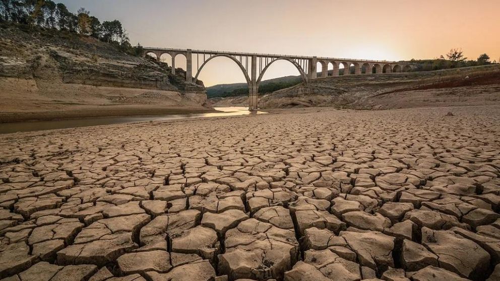 La escasez de agua provocará la pérdida de más del 16% del total de la producción,
