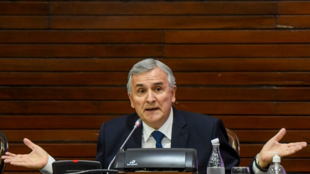 Gerardo Morales defendió a Elisa "Lilita" Carrió
