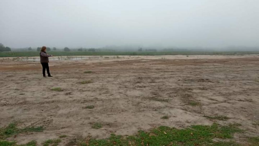 La laguna de San Vicente, descuidada por el municipio.