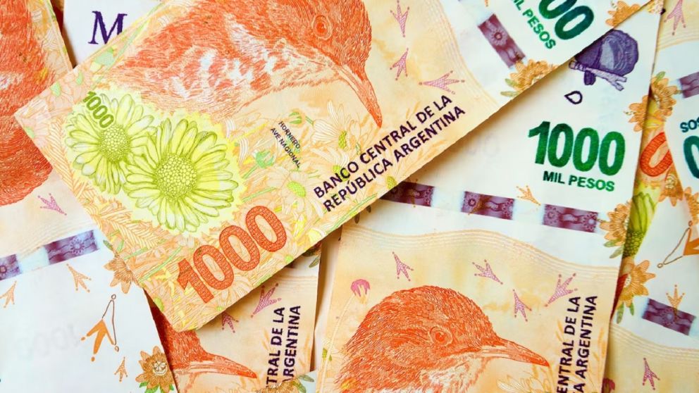 Asistencia para grupos de Anses