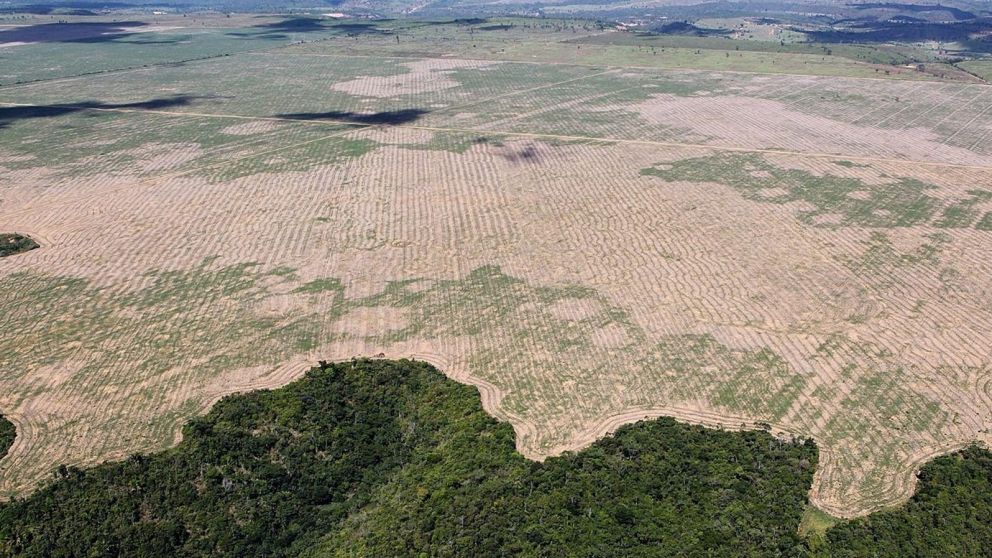 Científicos advierten que el aumento de la deforestación en la Amazonía se acerca al punto después del cual que es posible que no pueda recuperarse