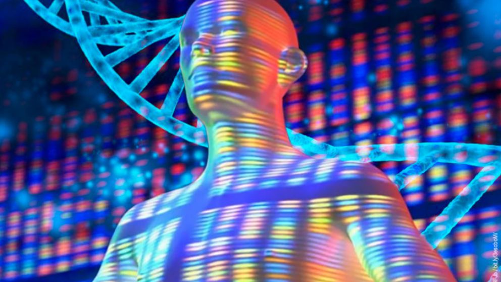 La tecnología como lobo del hombre