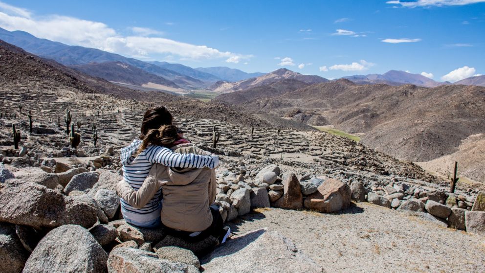 Salta, Misiones, Buenos Aires, Mendoza y Córdoba son las provincias que recibirán más viajes