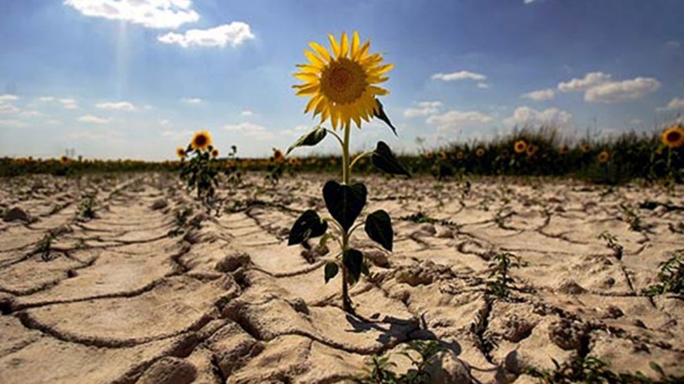 Cambio climático y Argentina posicionandosé en el ranking