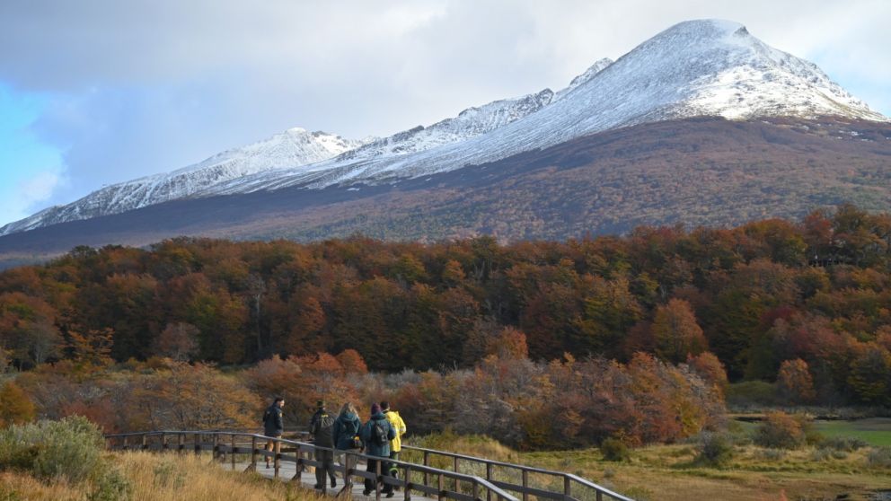 El Aeropuerto Internacional de Ushuaia super� la cifras de pasajeros prepandemia
