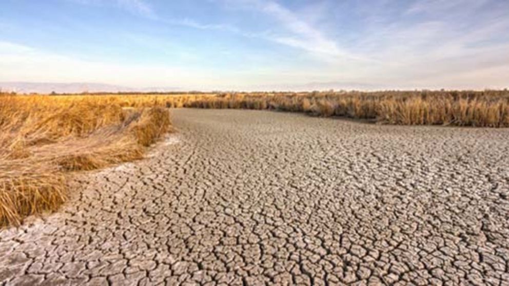 Ola de calor, sequ�a, deshielo y fuertes lluvias: las consecuencias del cambio clim�tico