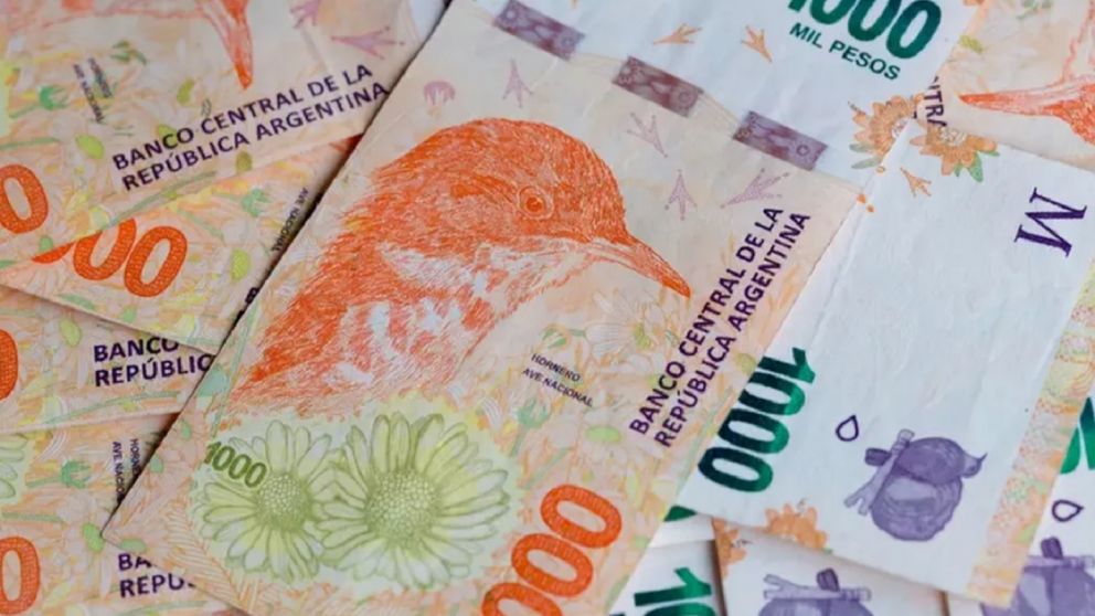 Mi Anses: cómo acceder al bono