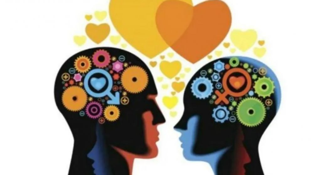Amor y cerebro