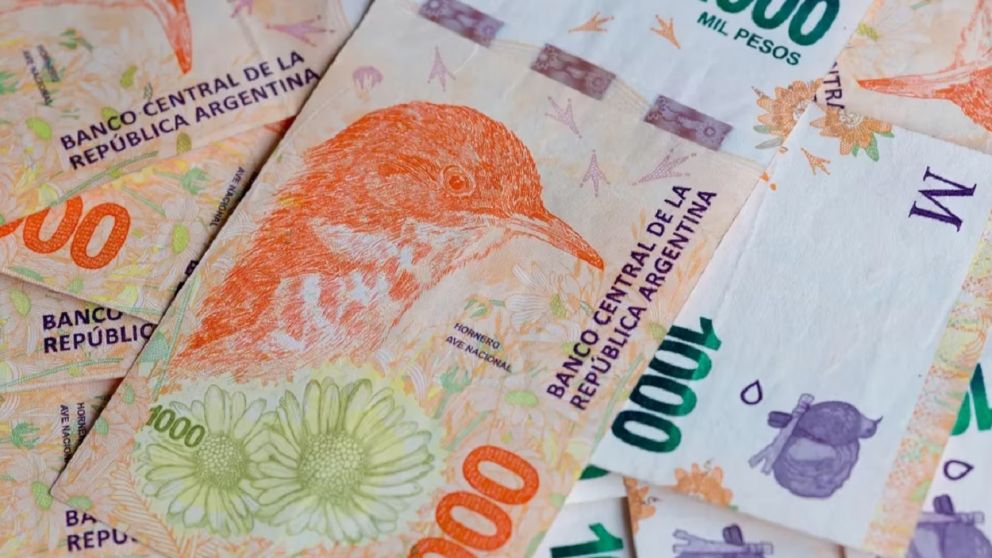 Fechas de cobro Anses: Tarjeta Alimentar