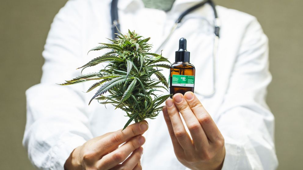 "Es muy importante informar al anestesista sobre el consumo de cannabis", explicaron los expertos