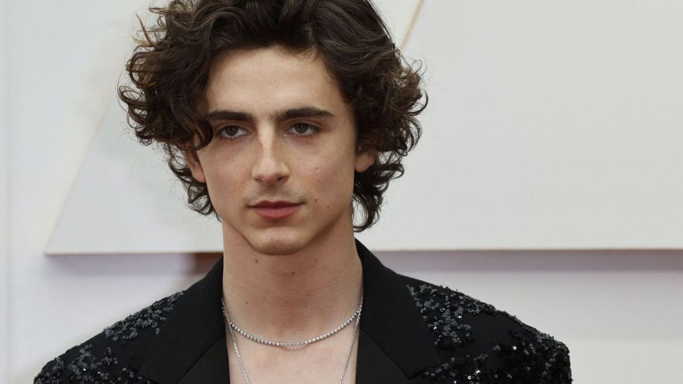 Chalamet, la cara de Dylan