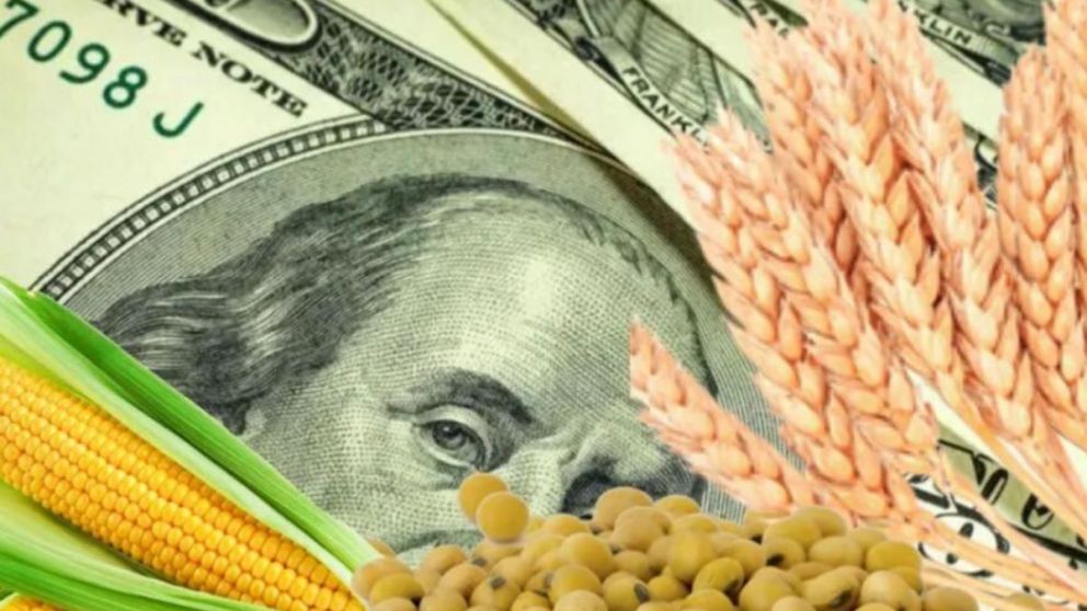 Nuevo d�lar agro: carne, pescado y otros productos que generaron sorpresa en el decreto
