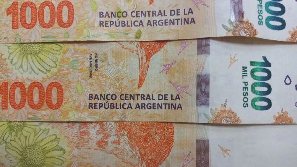 Anses ofrece varias prestaciones sociales y econ�micas por parte del Estado para los argentinos