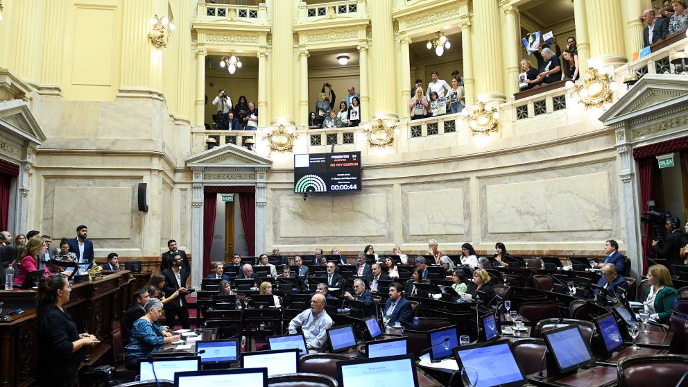 Senado: la oposición abandonó el recinto y no se pudo tratar Alcohol Cero