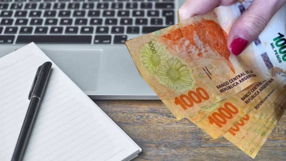 Para cobrar $23.000 hay que inscribirse a un programa