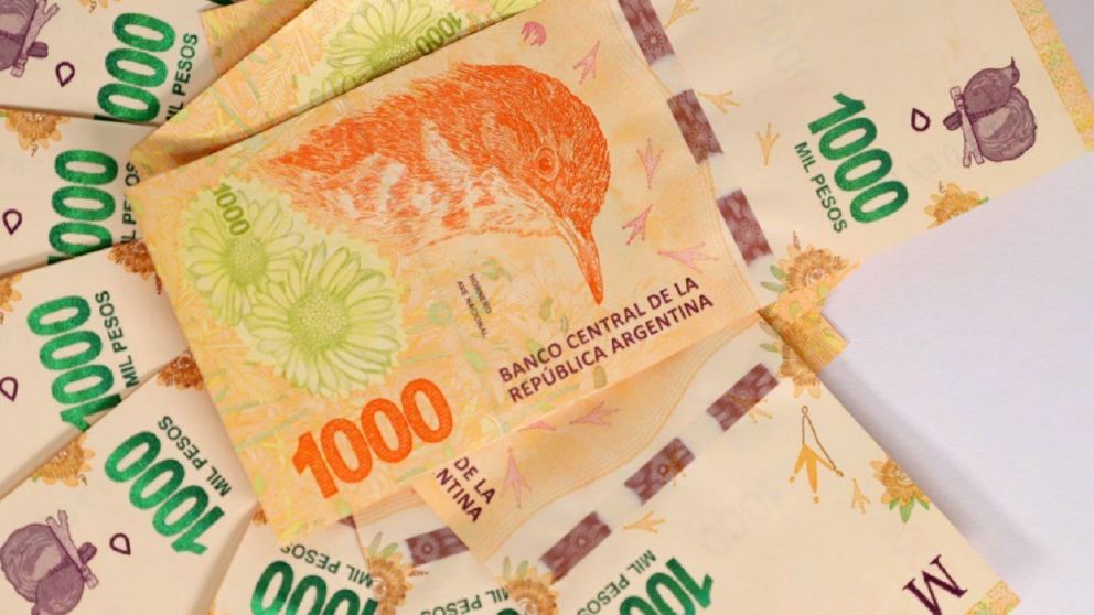 Programa Acompañar 2022: nuevos montos