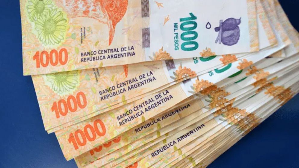 Mi Anses: beneficio para AUH