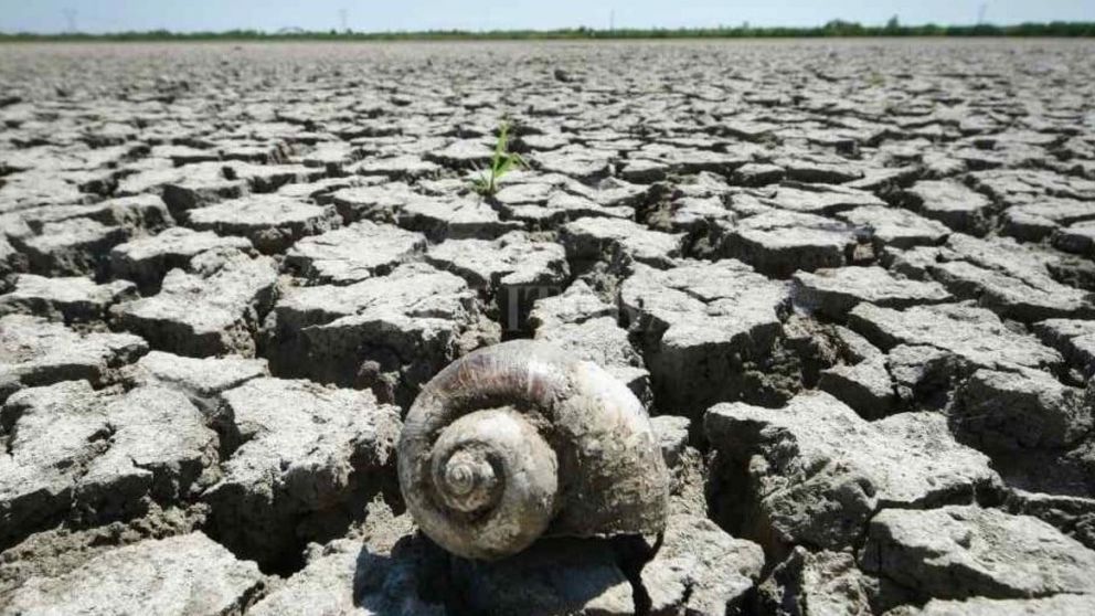 América Latina necesita inversión para enfrentar el cambio climático