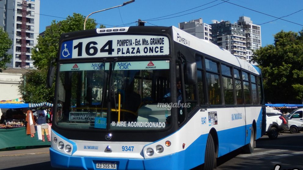 En la huelga "sorpresiva" de fines de febrero se plegaron choferes de varias líneas