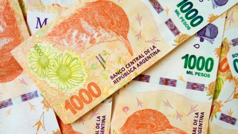 Cronograma de pagos Anses 2023