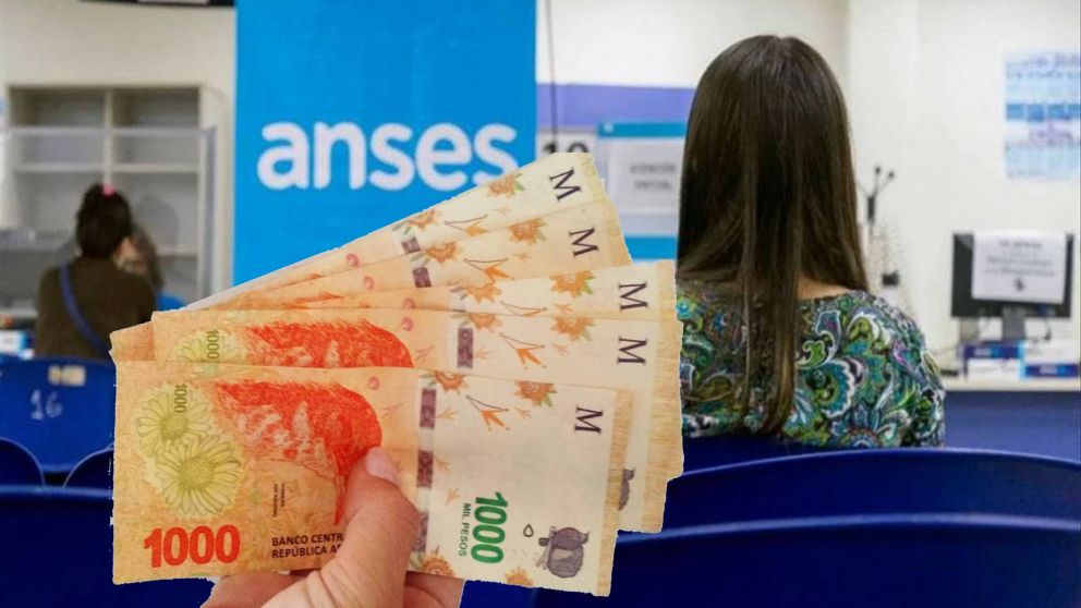 Por cambio de un requisito, más personas cobran un plan de Anses: consultá tu CUIL