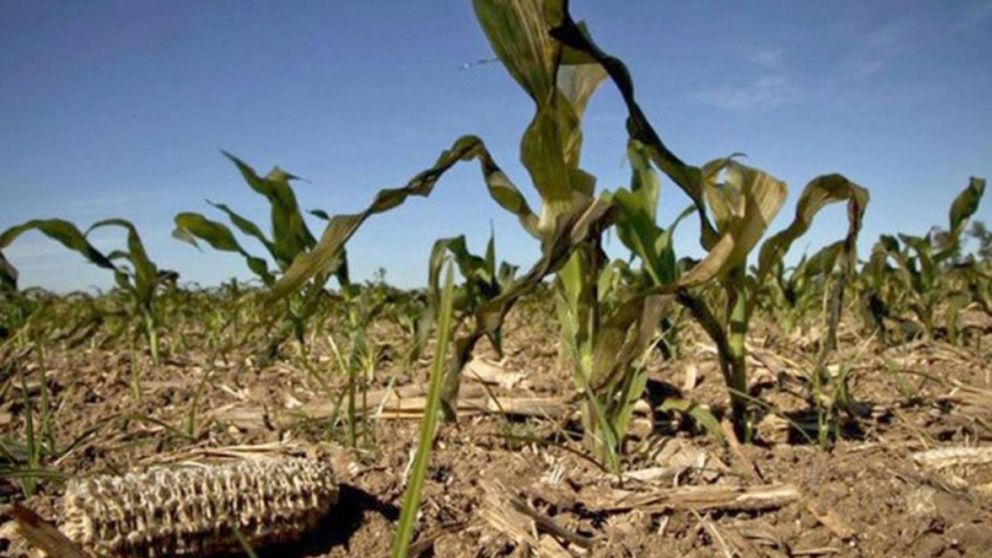 Las exportaciones del agro caerían USD 14.000 millones
