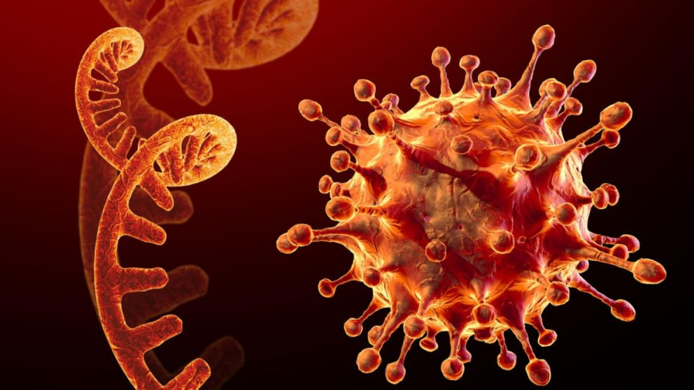 Virus zombi descubierto en deshielo del �rtico