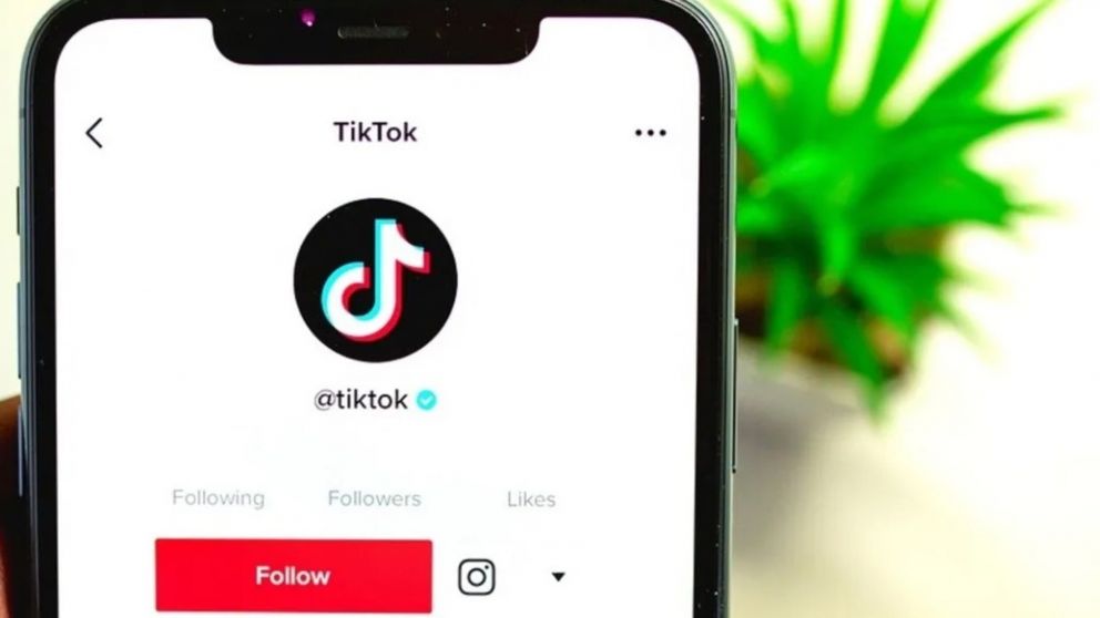 Estados Unidos busca prohibir la descargar de Tik Tok