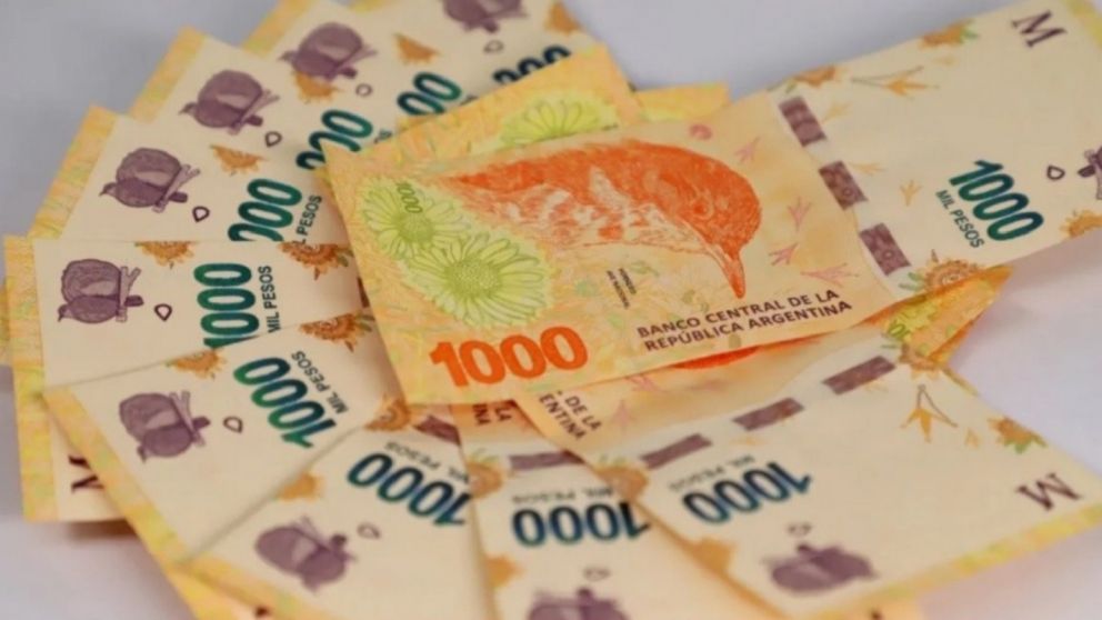 Programa para estudiantes