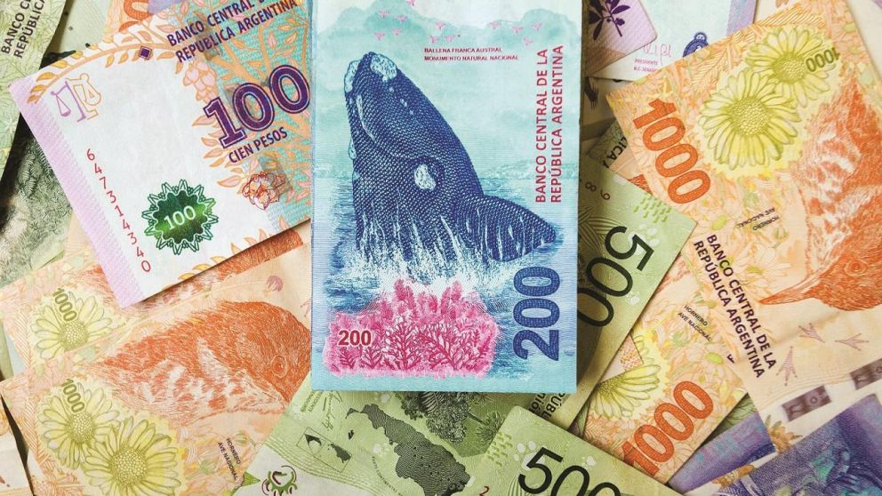 Cronograma de pagos para AUH y AUE en diciembre