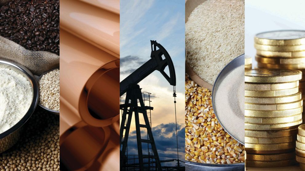 Las grandes posiciones concentradas y la opacidad en las materias primas en general. preocupan al G20