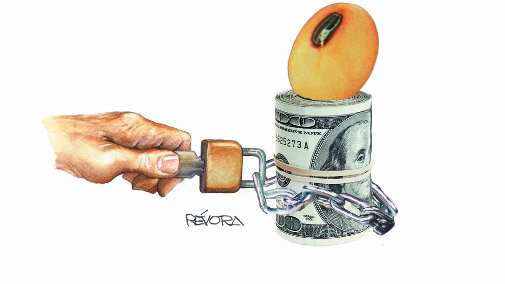 Las excentricidades tributarias “não tem fim”