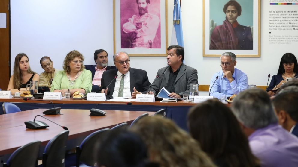 El secretario de Industria expuso en Diputados